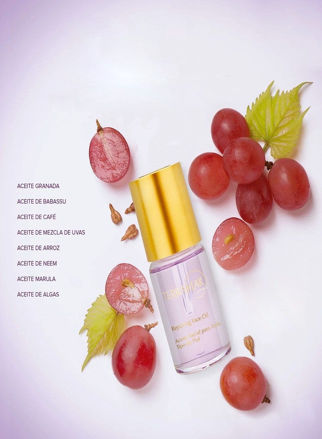 Terramar Aceite Facial para todo tipo de Piel / 26 ml protege de los radicales libres, ayuda a mantener la estructura de la piel, ofreciendo un aspecto visiblemente renovado y una piel hidratada. - Image 2